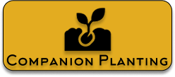 Companion_Planting